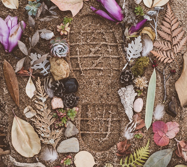 o que e pegada ecológica